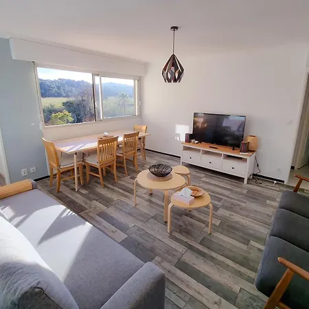 T3 De Charme - Avec Clim, Parking Et Piscine Apartment